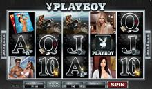 Playboy 
