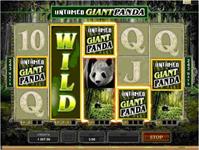 Untamed Giant Panda